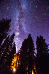 Fire Under The Stars