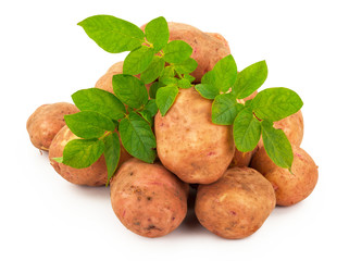 Sticker - Red potatoes with leaves on a white