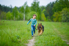 A Little Boy Runs Through The Green Meadow With His Big German Shepherd Dog. The Wind Blows His Hair