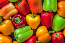 Assortment Overhead Group Of Colorful Bell Peppers In Studio On Dark Background. Red, Green, Orange And Yellow.