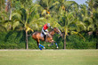 Polo player, ride a horse use a mallet hit a polo ball in Polo match.