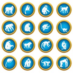 Wall Mural - Monkey types icons blue circle set