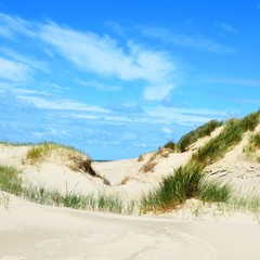 Wall Mural - Dünenlandschaft, Insel Rømø, Lakolk Strand, Dänemark