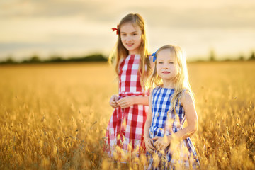 Wall Mural - Two adorable little sisters walking happily in wheat field on warm and sunny summer evening.