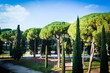 Stadtpark Bäume in Rom Landschaft