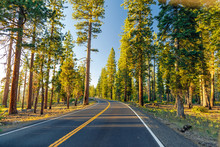Beautiful Road Between The Forest During Sunset. At Yosemite National Park California.