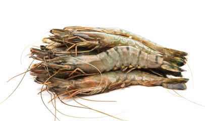 Canvas Print - fresh shrimp isolated