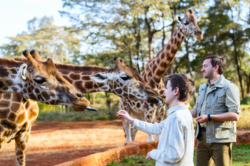 Wall Mural - Family feeding giraffes in Africa