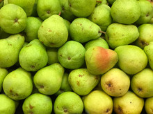 Green And Yellow Pears On Display In A Market Produce Bin