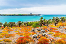 Tropical Galapagos Sea Landscape View. Isolated Blue Background. Ocean Beach, Blue Sky, Beautiful Panoramic Landscape. Abstract Beach Ocean Background. Tropical Forest View. Red, Green, Blue Island