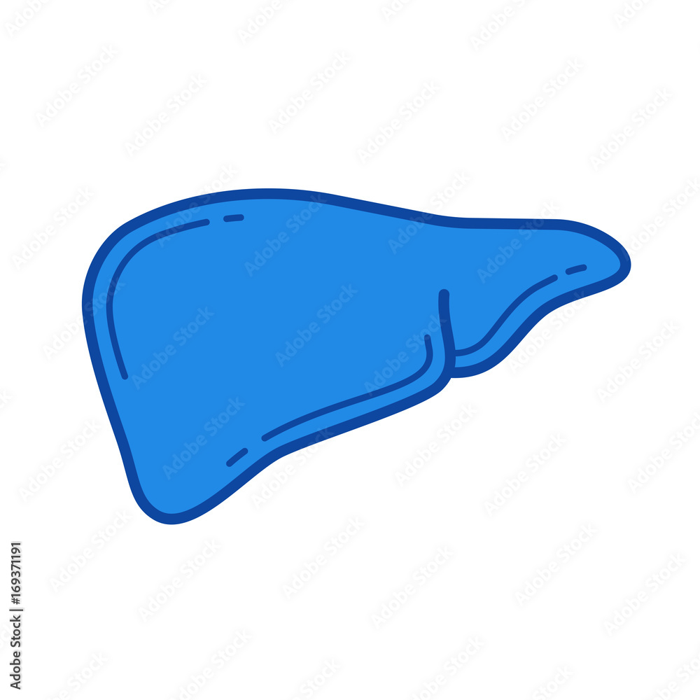 Human liver vector line icon isolated on white background. Human liver ...