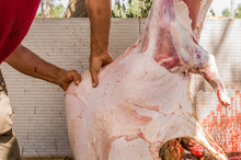 Muslim Butcher Man Cutting A Sheep For Eid Al-Adha (Sacrifice Feast).