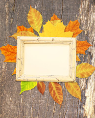 Sticker - Grunge background with autumn leaves