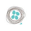 Bird nest with turquoise spoted eggs on white background. Doodling. Robin eggs. Family and kids concept