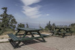 wooden tables for picnic in a park