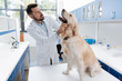 © Viacheslav Yakobchuk - Serious vet examining big dog