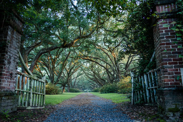 Path through an abandoned gate