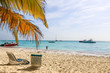 © froland83 - Saona Tropical Beach Dominican Republic