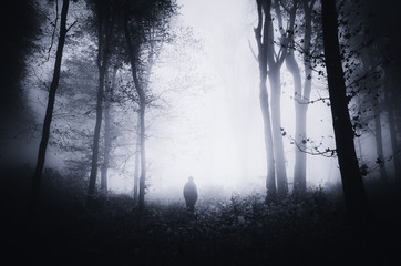 dark forest at night with mysterious silhouette