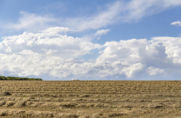 Wall Mural - rural landscape with clouds