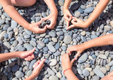Fototapeta Kamienie - Много детей с разными формами знаков на пляже на камнях