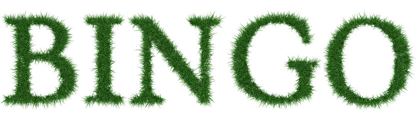 Fototapete - Bingo - 3D rendering fresh Grass letters isolated on whhite background.