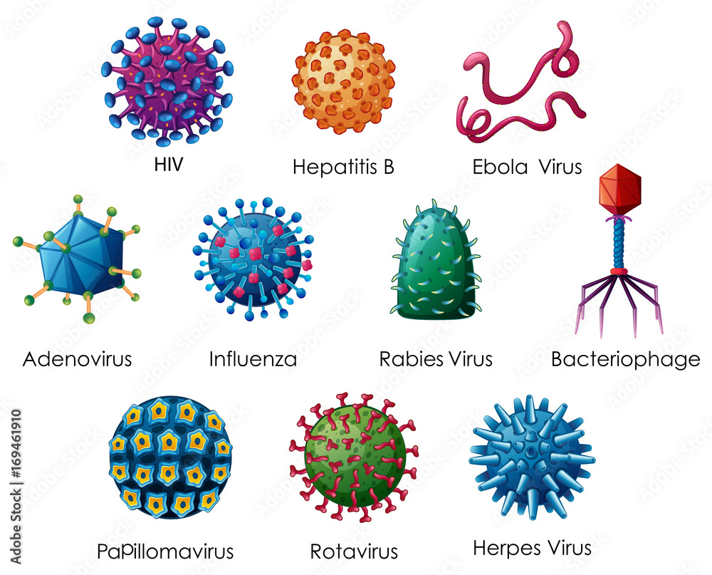 Diagram showing different kinds of viruses - obrazy, fototapety, plakaty 
