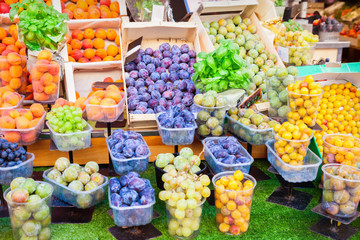 Wall Mural - Fruits