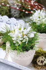 Sticker - White snowdrop anemone (Anemone sylvestris) flowers