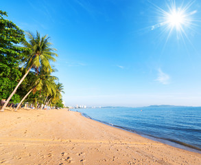 Coconut palm trees in the sky when the sky is blue and blue sea.