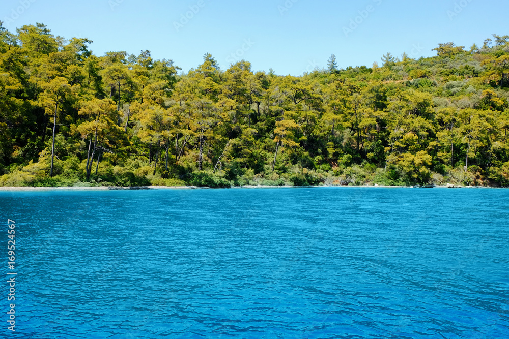 Beautiful view from sea on coast