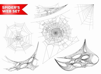 Wall Mural - Spiderweb or spider web cobweb 3D shapes vecto isolated icons