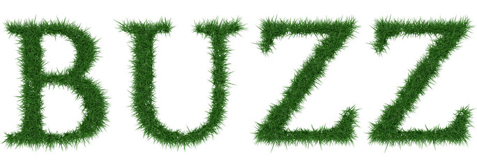 Fototapete - Buzz - 3D rendering fresh Grass letters isolated on whhite background.
