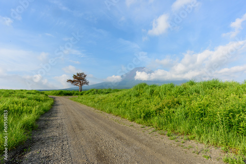 日本の草原の中の一本道stock Photo Adobe Stock