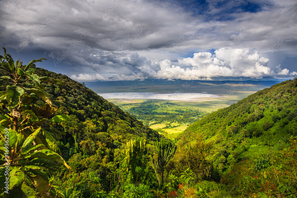 Landscape in The Ngorongoro Crater - Tanzania - obrazy, fototapety, plakaty 