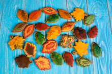 Homemade Gingerbread Cookies In The Form Of Maple, Linden And Oak Leaves. Autumn Background