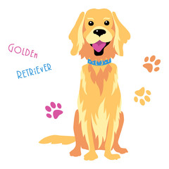 Wall Mural - Sketch Funny dog Golden Retriever breed sitting breed hand drawing vector