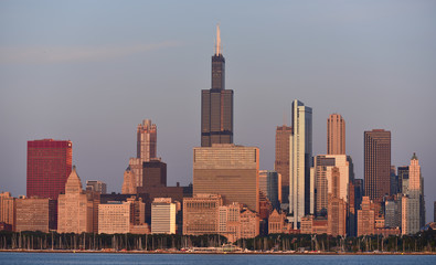 Fototapete - Chicago Willis Tower