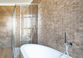 Luxury bathroom in a modern house