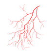 eye vein vector symbol icon design. Beautiful illustration isolated on white background