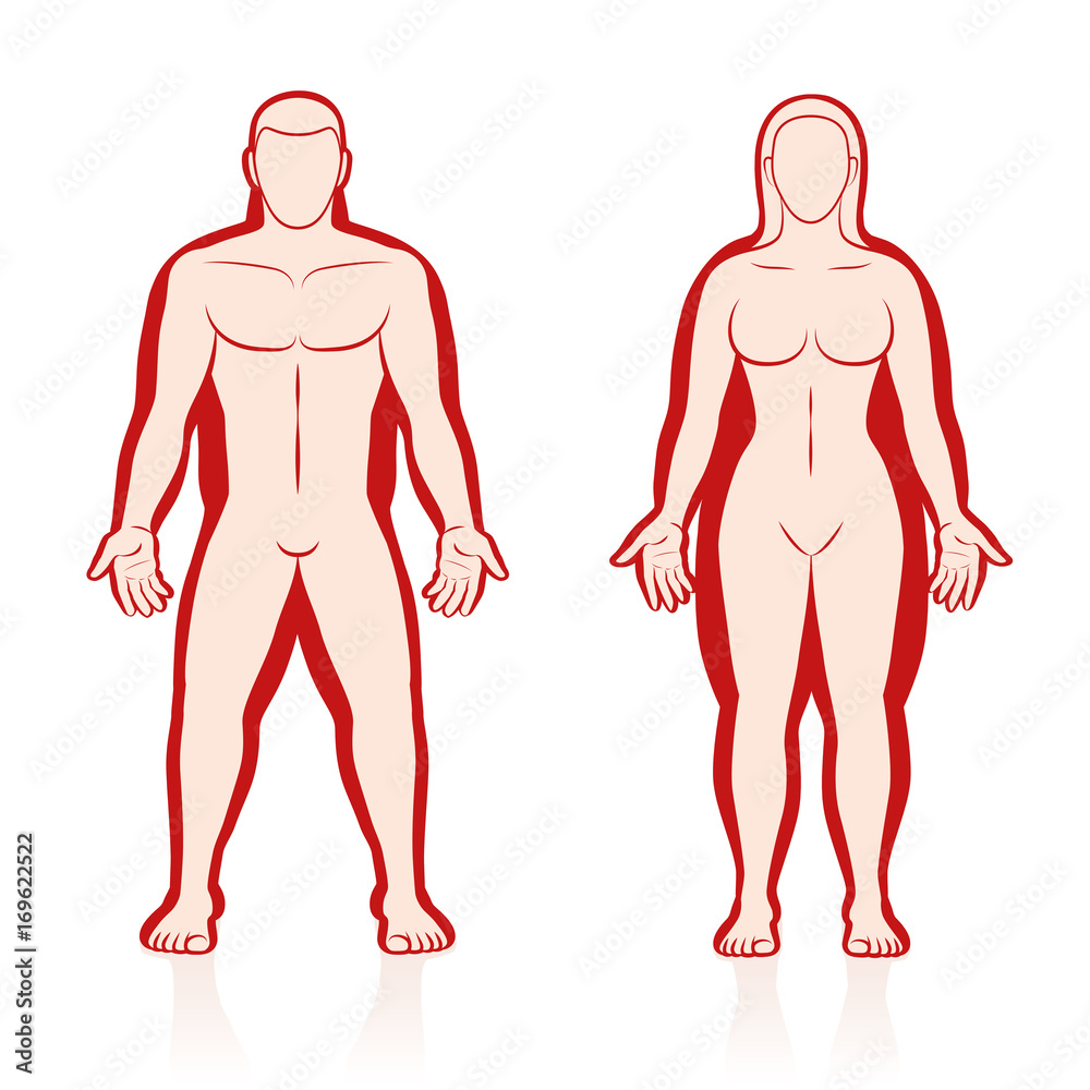 Compare Female Bodies