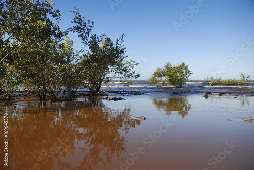 Foto Praia de Manguinhos (Paisagem) | Manguinhos beach fotografado em Manguinhos, Espírito Santo - Sudeste do Brasil