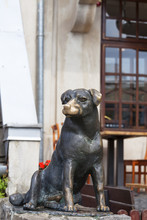 Dog Bronze Statue Close To The Market, Kazimierz Dolny, Poland