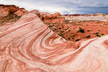 Wall Mural - valley of fire national park landscape, nevada