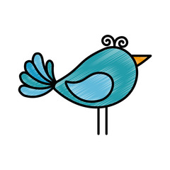 Wall Mural - Cute birdie cartoon icon vector illustration graphic design