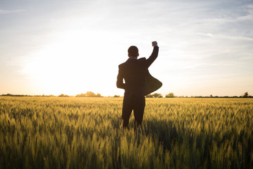 Happy buisinesman having fun in summer fields, man in buisines suit enjoy of freedom, concept of winner manager. 