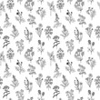 Seamless pattern of various hand drawn herbs and flowers. Background in black and white colors. Graphic style