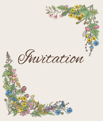 Wall Mural - Template for invitation. Card with decoration from hand drawn herbs and flowers