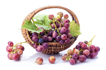 Wall Mural - Grapes