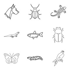Wall Mural - Wood beetle icons set, outline style